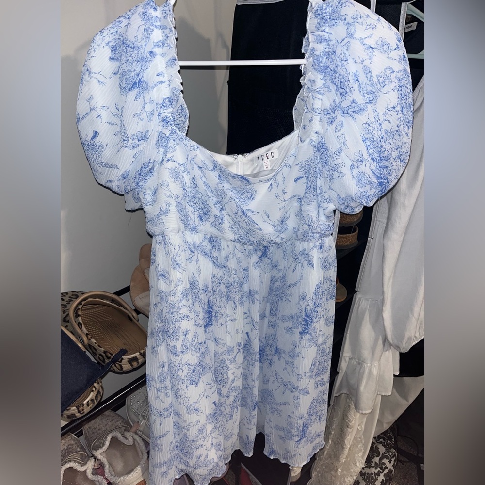 TCEC Puff Sleeve Mini Dress